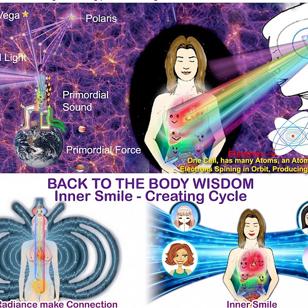 (1.) ::: Back to Body-Wisdom - The wisdom of the living cells :::