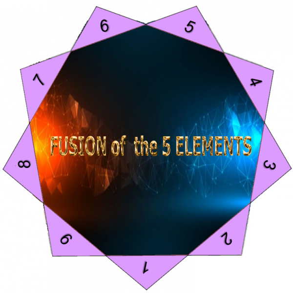 ::: FUSION of the 5 Elements 1 ::: Training and Certification Course